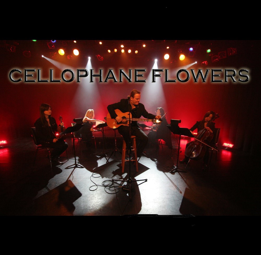 Cellophane Flowers